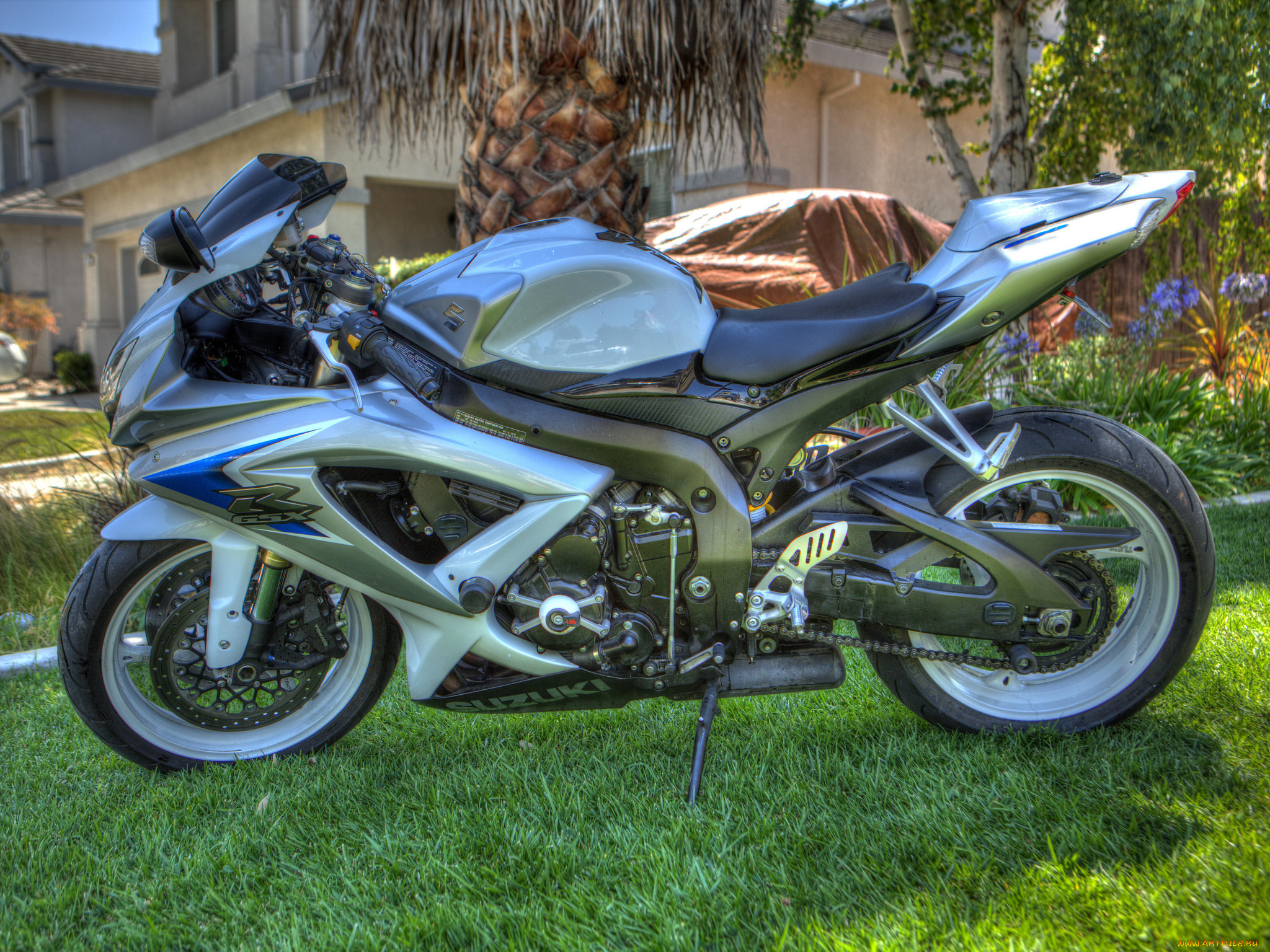 , suzuki, , 